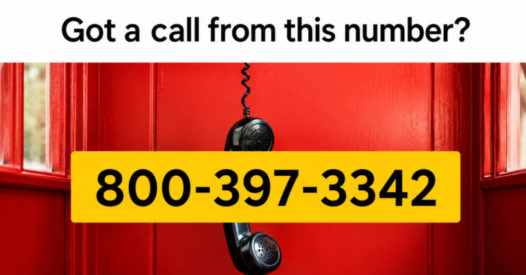 8003973342