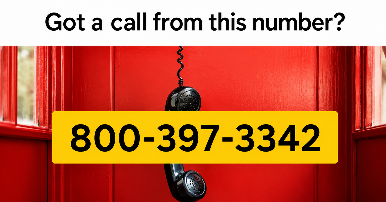 8003973342