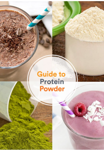 best protein powder